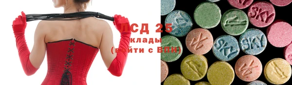 ALPHA PVP Беломорск