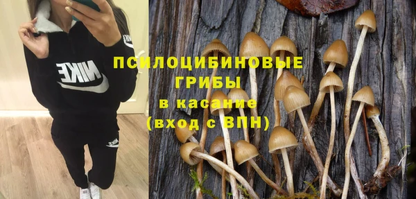 амф Аркадак