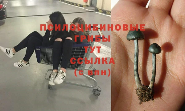 spice Белокуриха