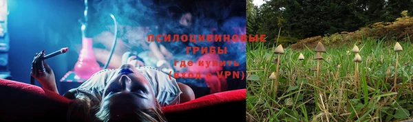 spice Белокуриха