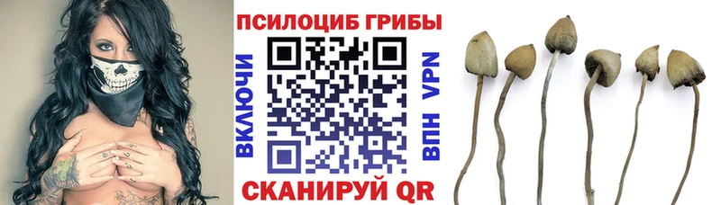 Псилоцибиновые грибы Magic Shrooms Волжск
